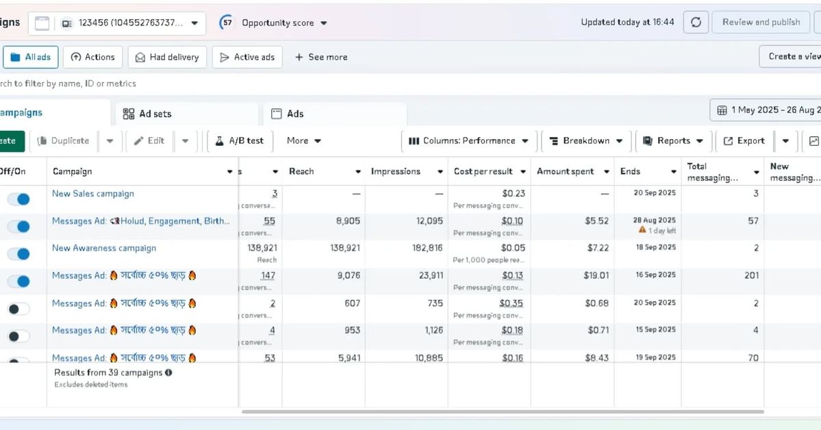 Lead Campaign Result 3